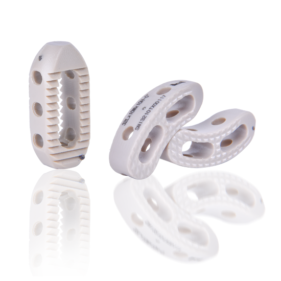  کیج های بین مهره ای 